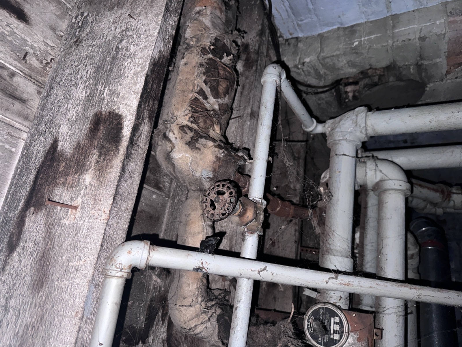 Galvanized water pipes and a cast-iron drain stack in an older basement