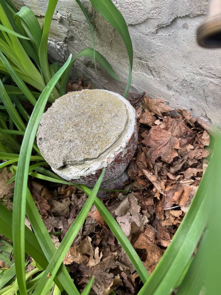 Stanley, Chatham — May 2026